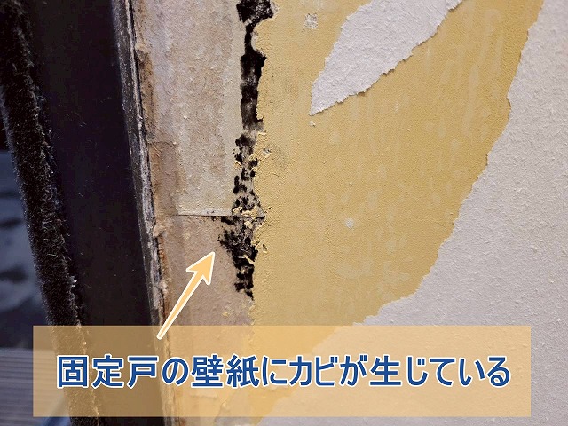 固定戸の壁紙にカビが生じている